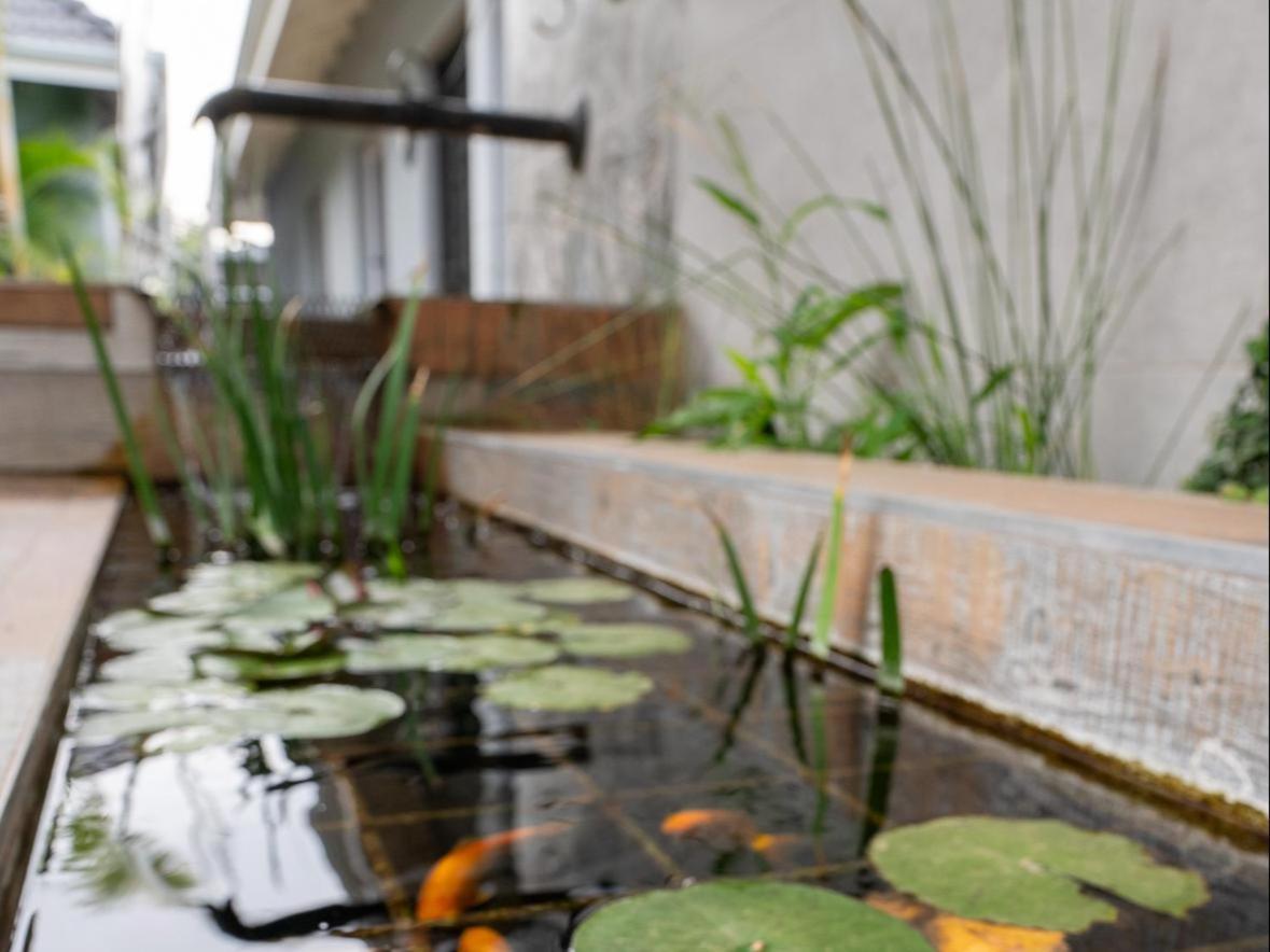 Familia Guesthouse & Boutique Hotel Groblersdal Exterior foto